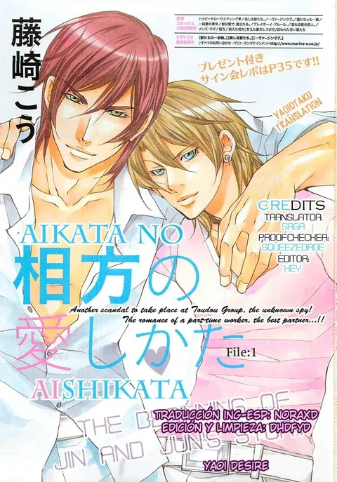 Leer Aikata no Aishikata en español