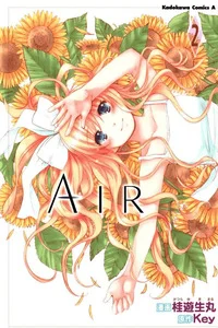 Leer AIR en español