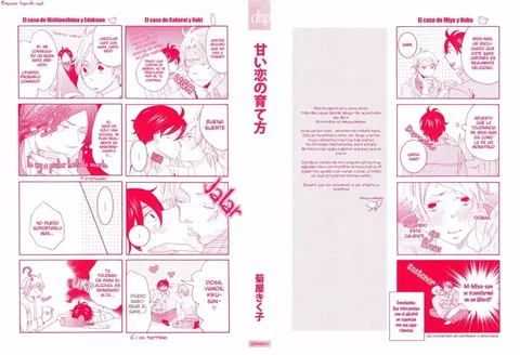 Leer Amai Koi no Sodate Kata en español